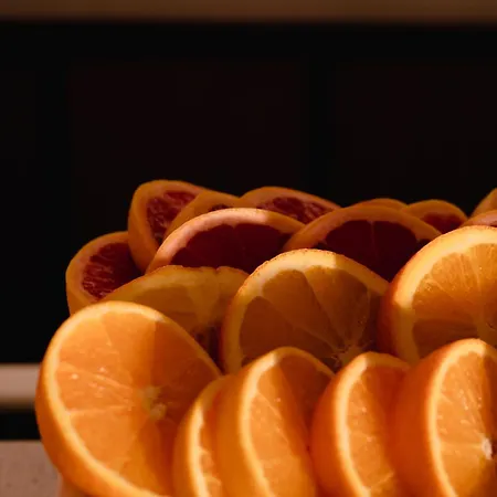 Riomar, Ibiza, A Tribute Portfolio